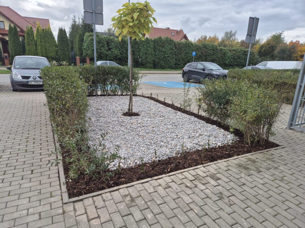 2707e495 26e2 4cff 8cef b918c9760d6f