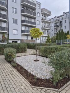 515cb3c9 e09c 457b 83f2 ecfe4e79088b