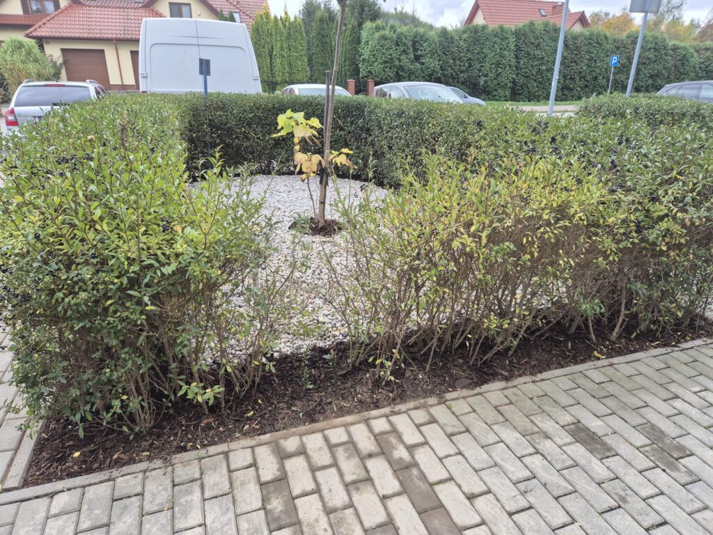 64148a2a 250f 4db7 8af1 016dcae18319