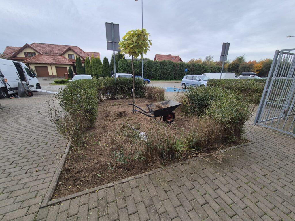 793ec24f 6c86 49ff b570 38672d33c0c1