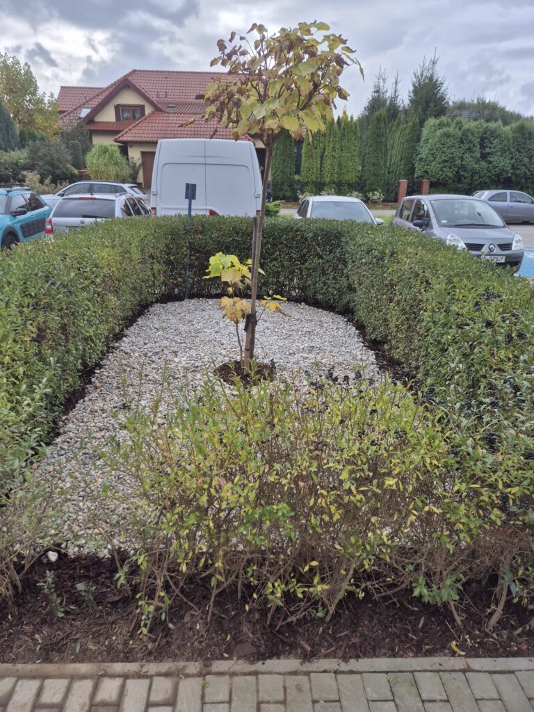 7ba5f626 ff1e 465f 9e26 0b6cac87a324