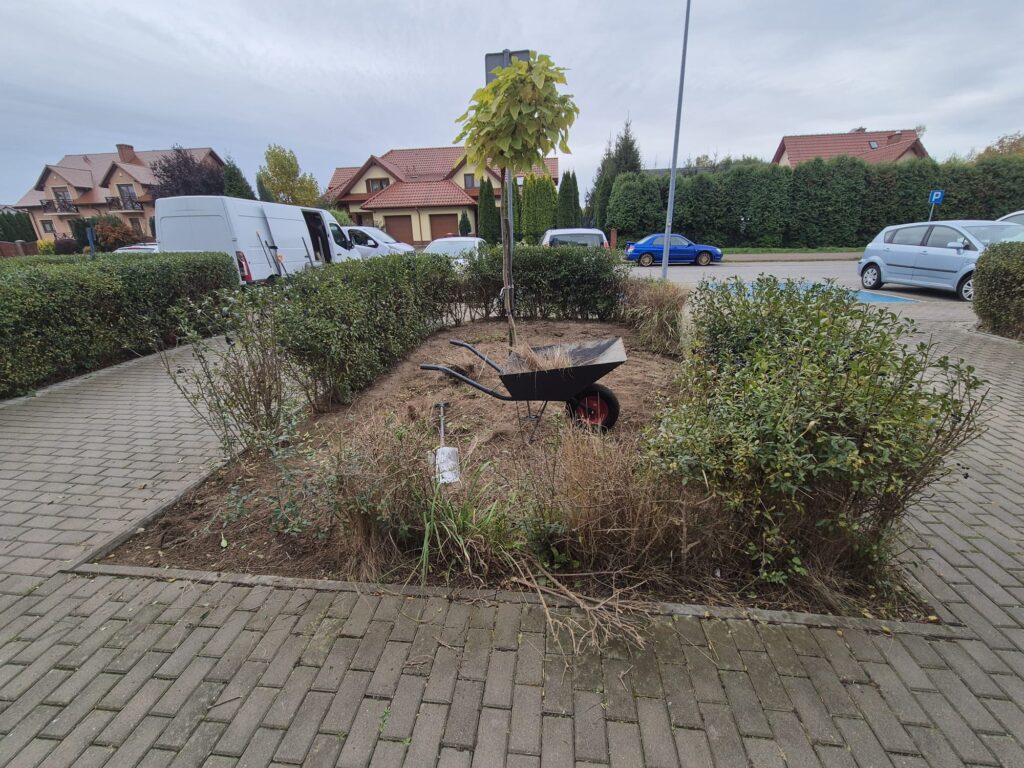 815bfda3 8c7d 4bc8 b4a1 711d0ea2b592