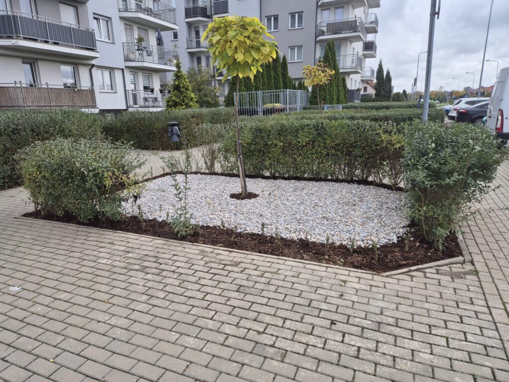 87024f16 3fb0 4575 a854 9153439412f1