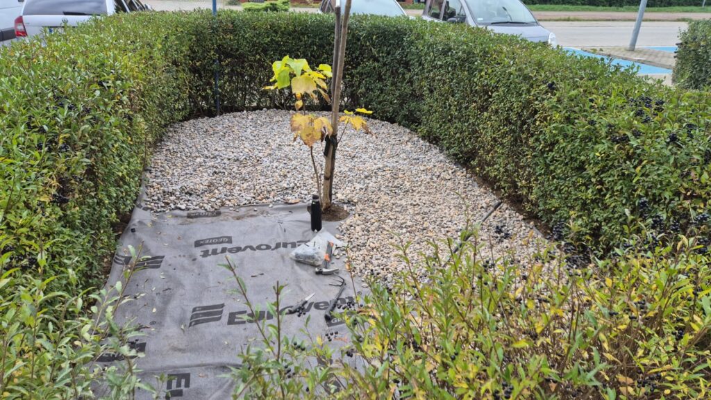 b3a07c51 587d 4ca9 9601 392fb7399dd2